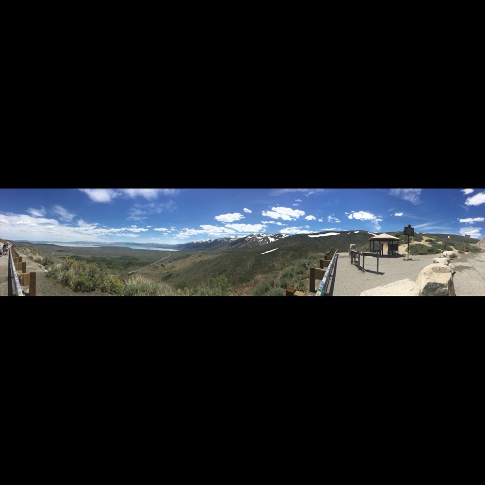 Meet your Posher, Elaina